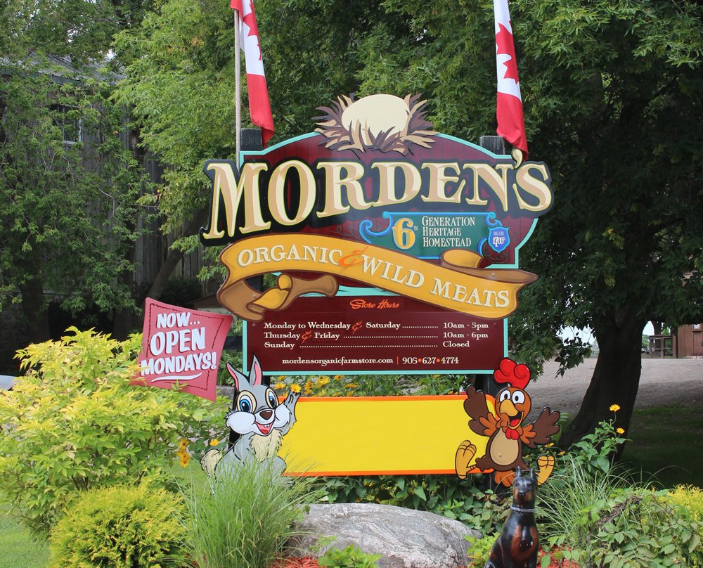 Morden's Organic Farm Store景点图片
