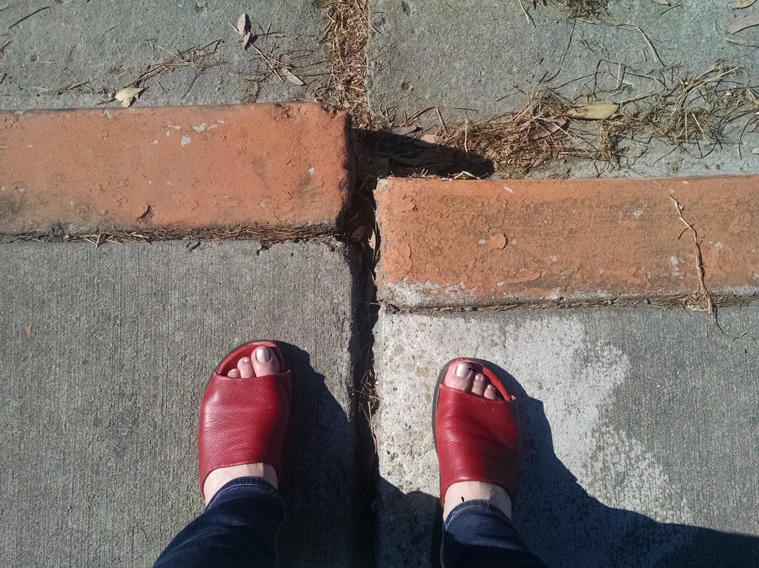 费利蒙旅游景点-Hayward Fault Exposed