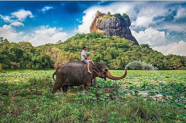 Kandy Taxi Muthu Lanka Tours-康提必去景点