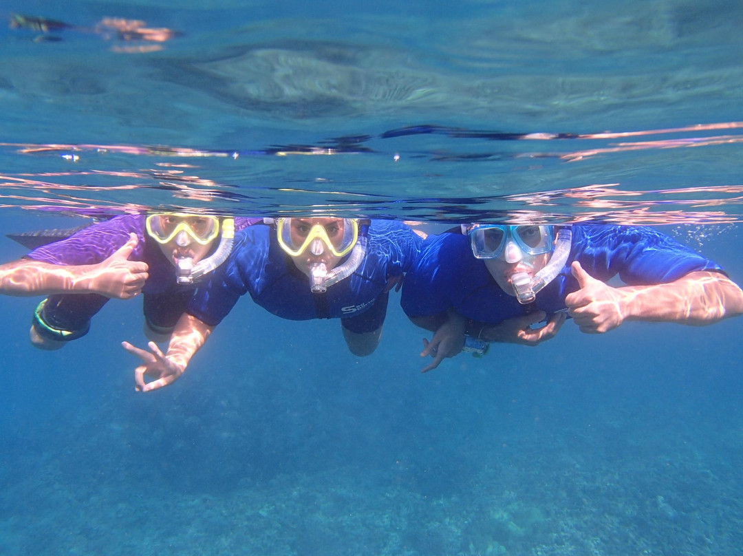 Maui Snorkel Tours景点图片