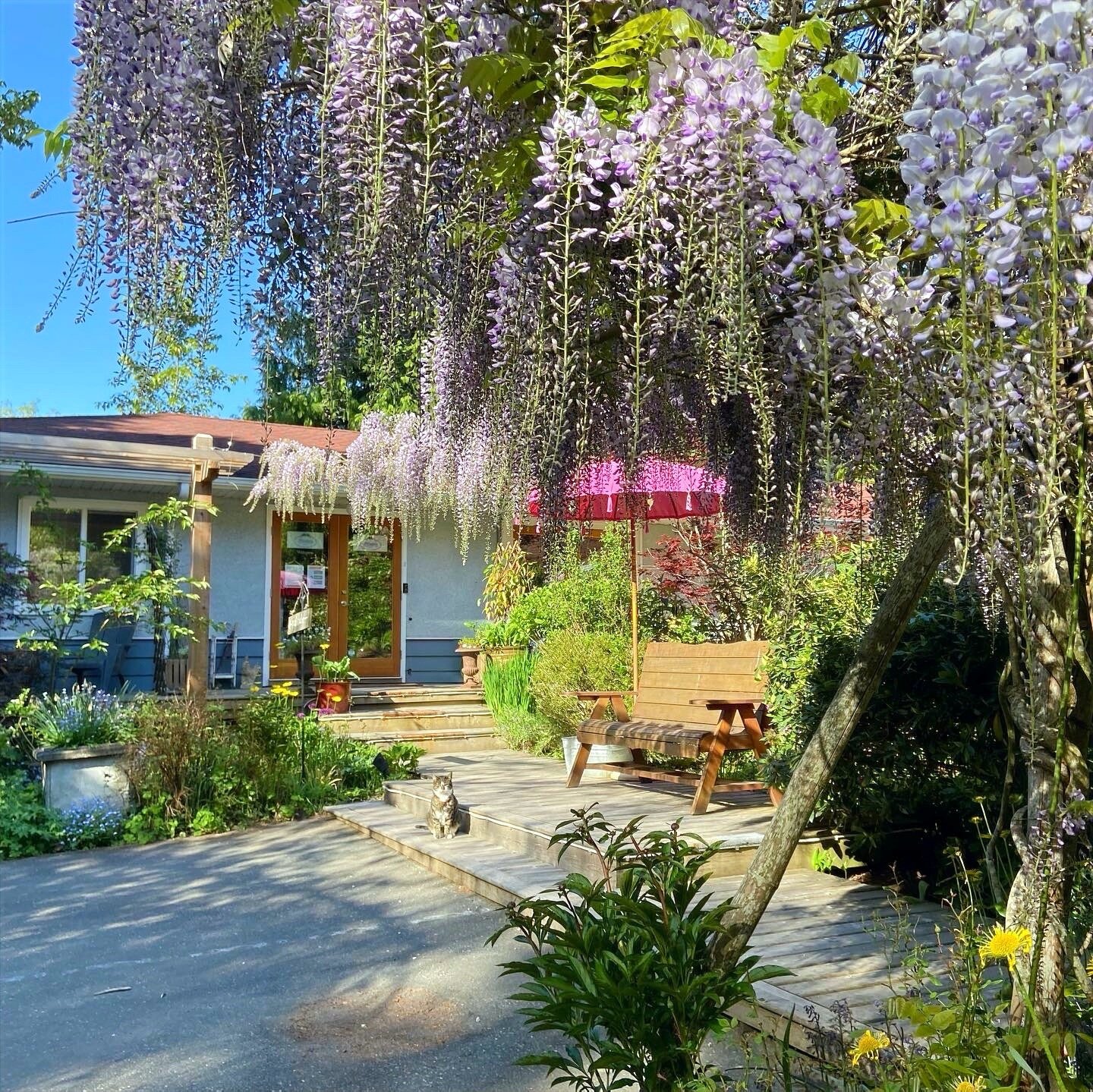 Wisteria Guest House-浴室