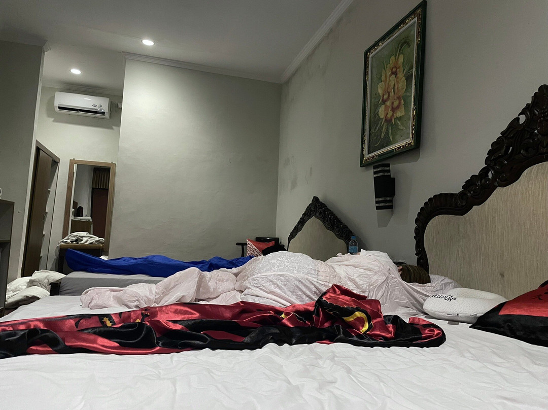 赛伦德拉卡图尔阿迪普特拉酒店