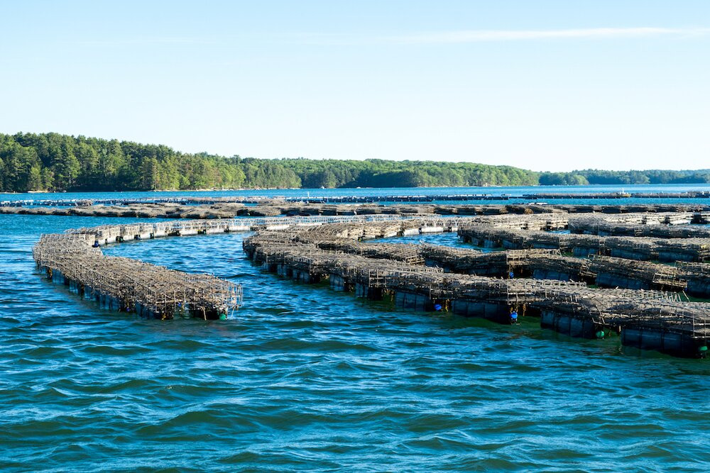Damariscotta River Cruises景点图片