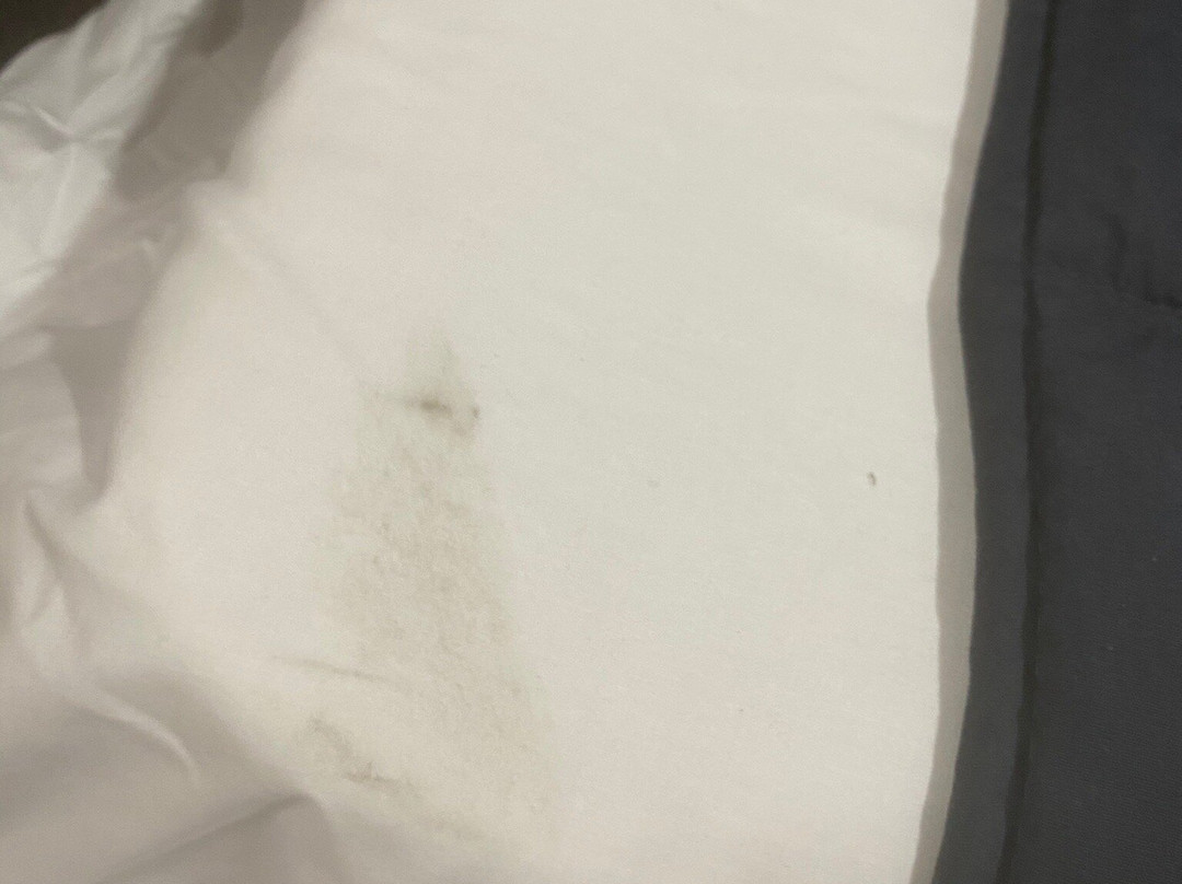 Matilda Motor Inn主图