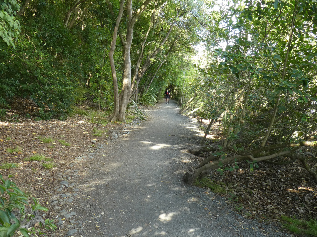 Orakei Basin - not Orakei Korako!景点图片