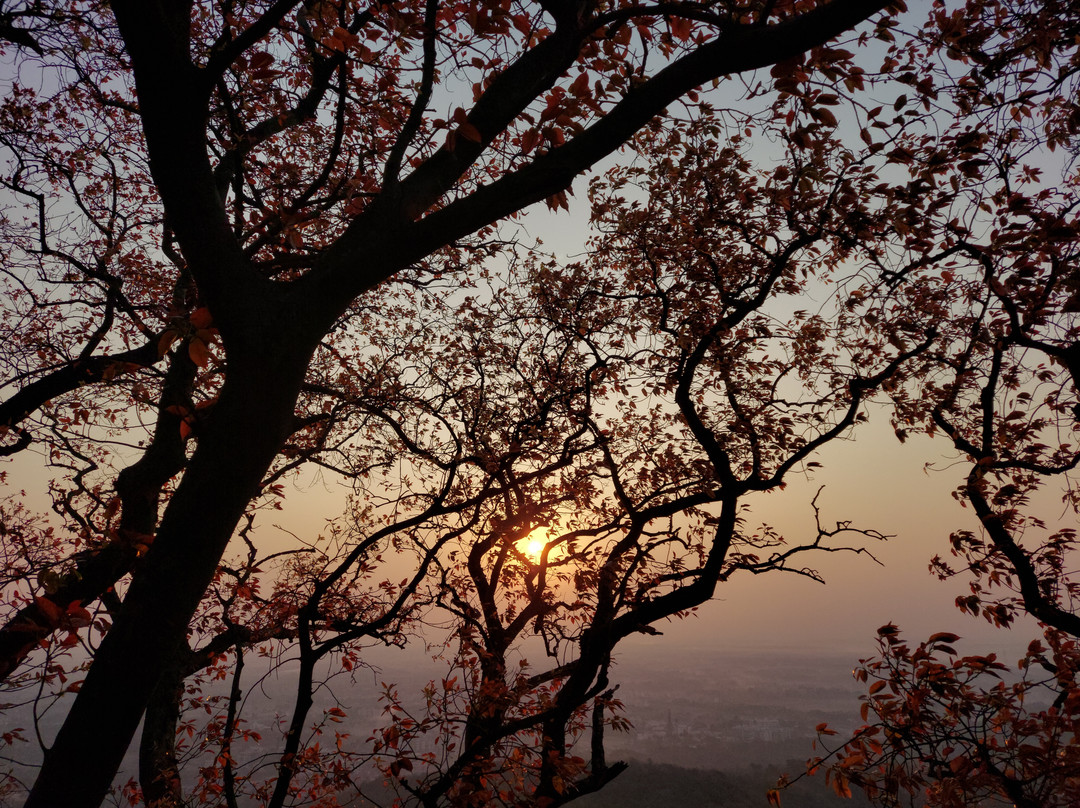 Parnera Hill景点图片