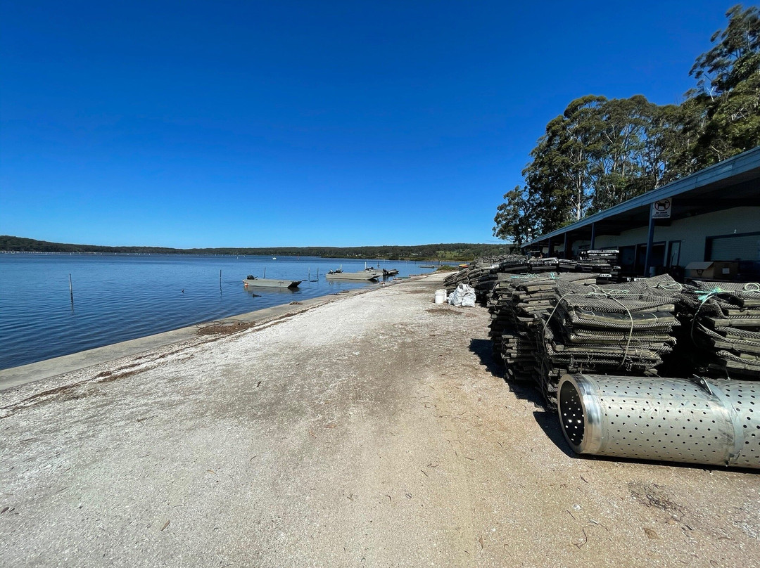 Idlewilde Town & Country Motor Inn主图