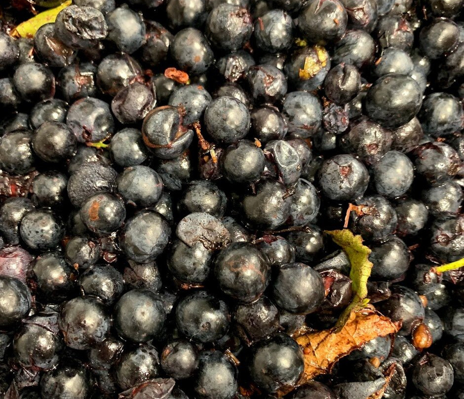 Soldier Creek Winery-Fort Dodge必去景点