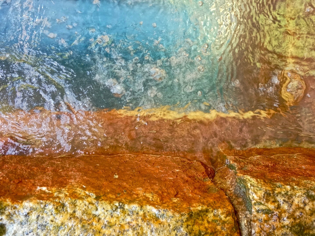 Oshio Natural Carbonated Water景点图片