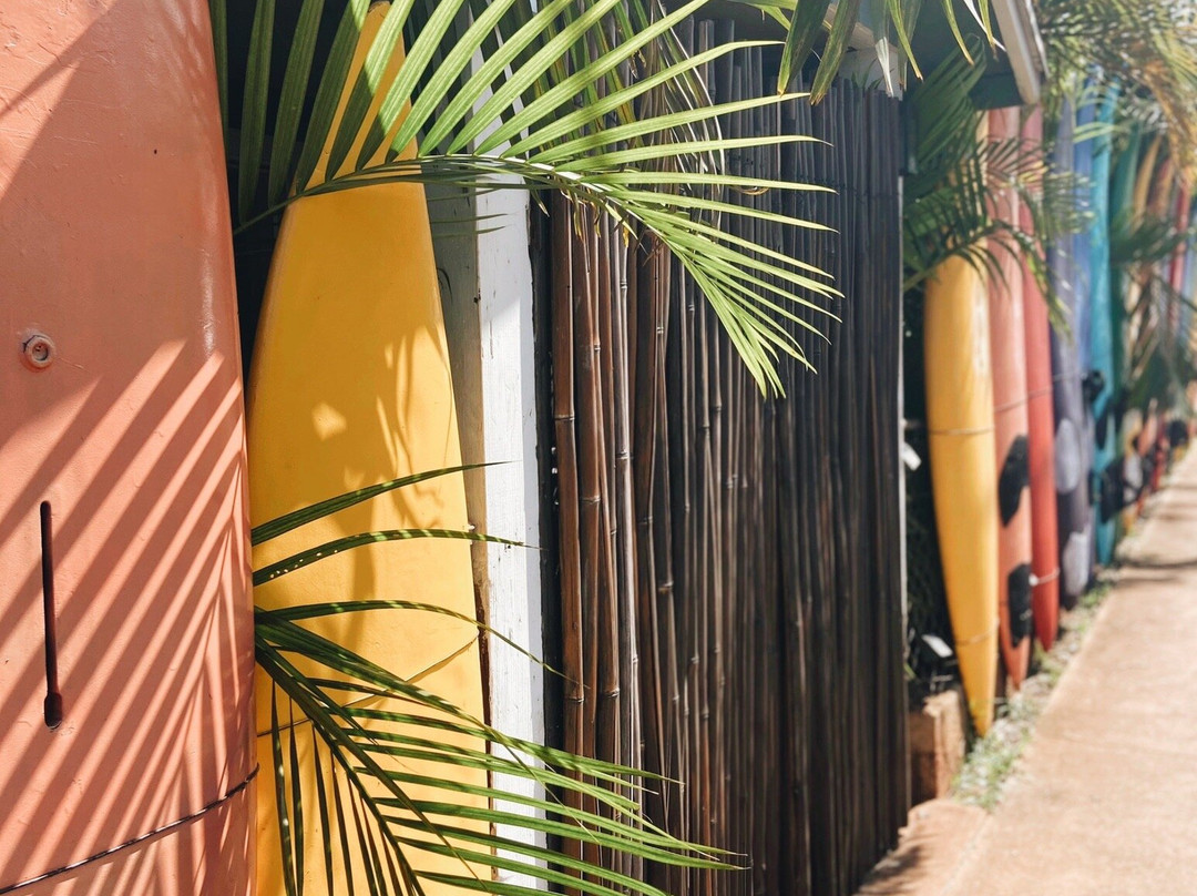 Aloha Surf Hostel主图