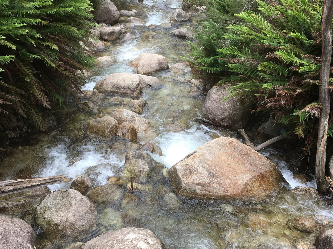 Ladies Bath Falls-水牛山国家公园必去景点