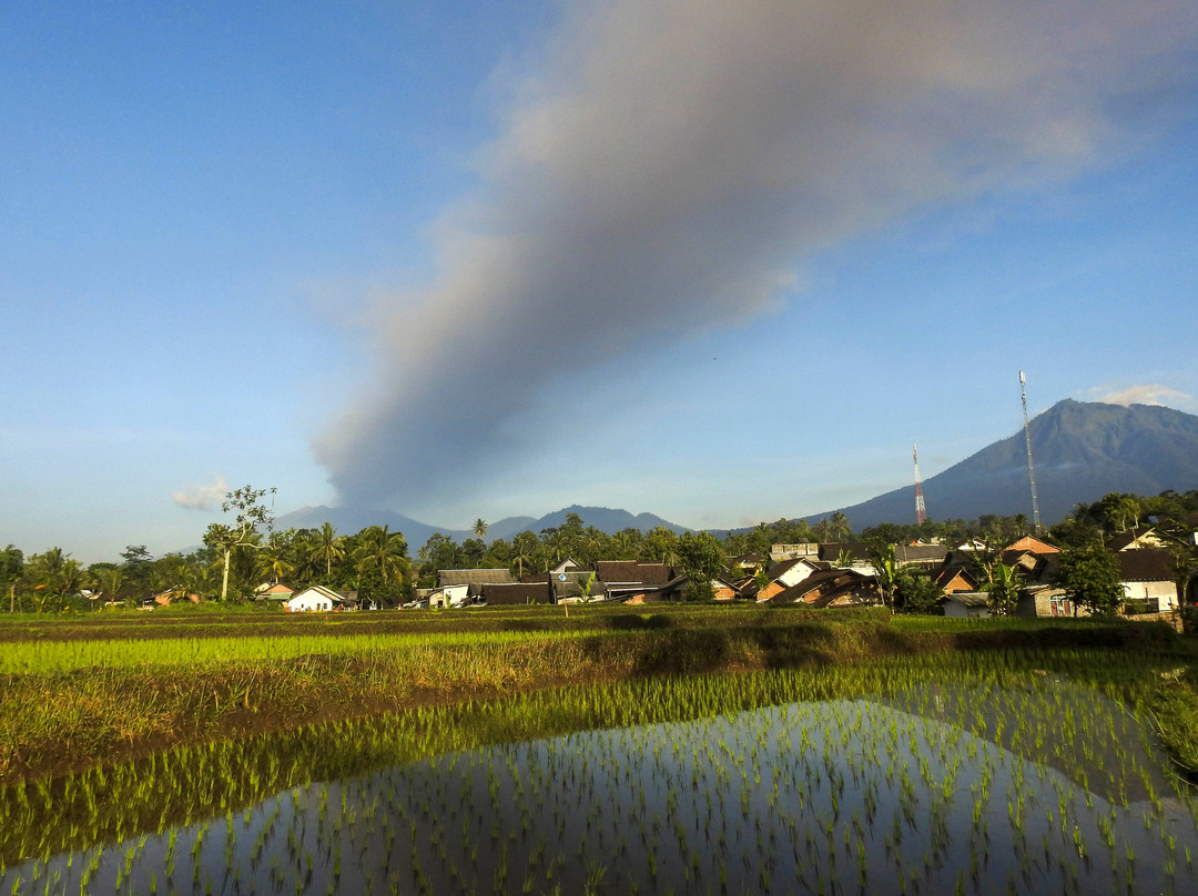 Ijen Expedition Tour-巴纽旺宣必去景点