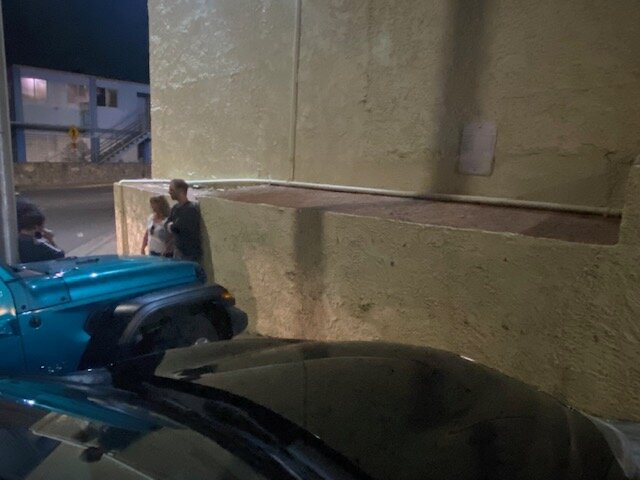 Dolphin Market-克鲁兹湾必去景点