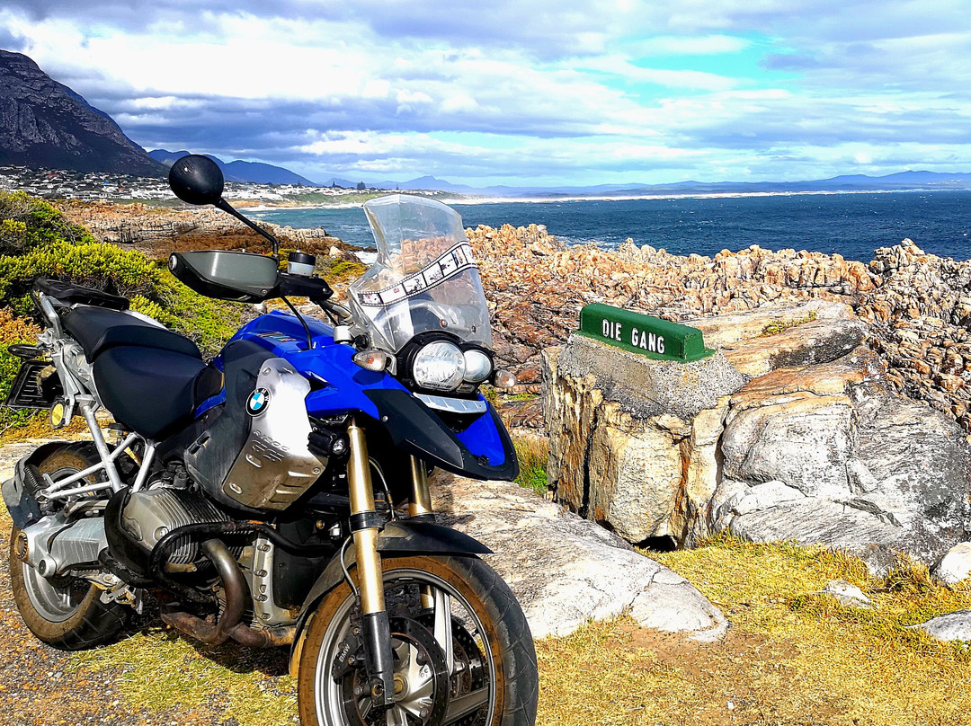 African Hoopoe Tours-开普敦中心区必去景点