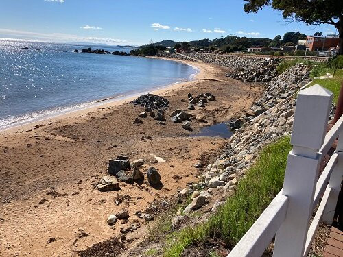 Big Penguin-企鹅岛必去景点