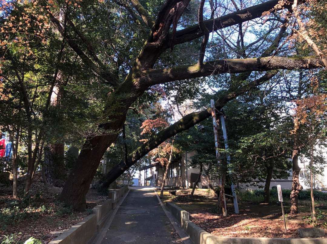 Atago Shrine景点图片