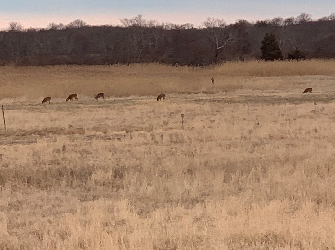 Daniel Webster Wildlife Sanctuary-Marshfield必去景点