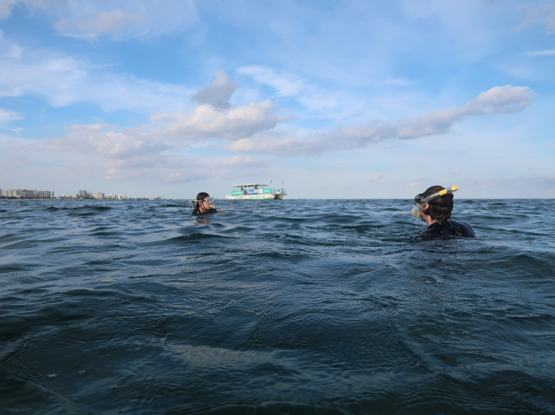 Private Scuba & Snorkeling-Palm Springs必去景点