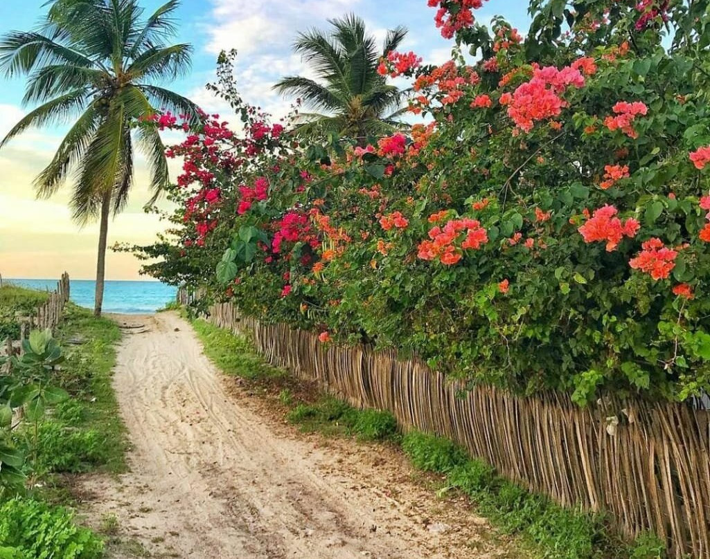 Royal Náutica Turismo-福塔莱萨必去景点