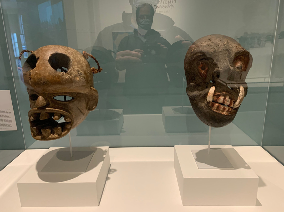 Harn Museum Of Art-盖恩斯维尔必去景点