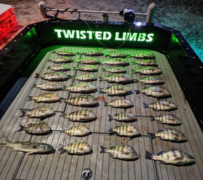 Twisted Limbs Bowfishing-Polk City必去景点