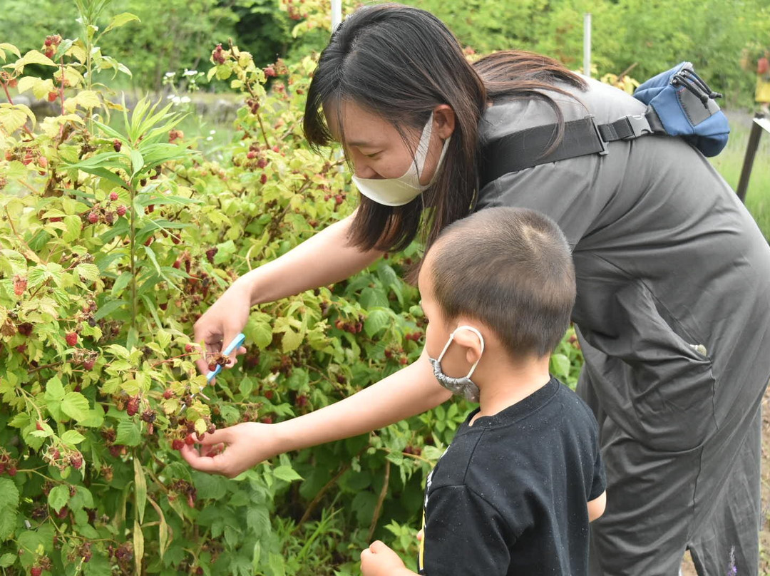 Okitama Park Herb Garden景点图片