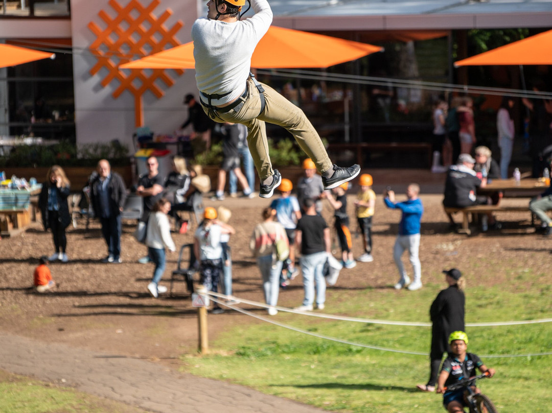 TreeClimb Adelaide-阿德莱德必去景点