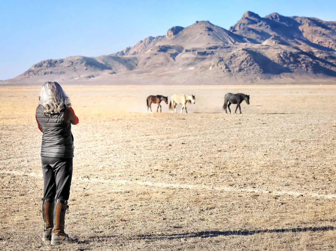 Jennifer Rogers-Tooele必去景点