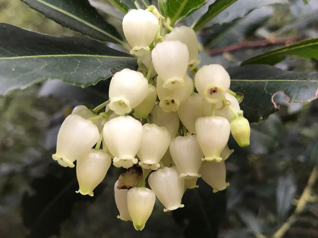 Parco Comunale Gentilis-Guspini必去景点