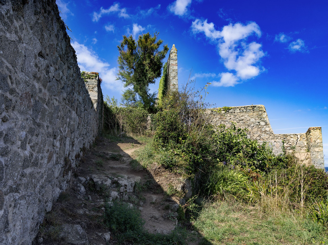 Ile de la Contesse景点图片