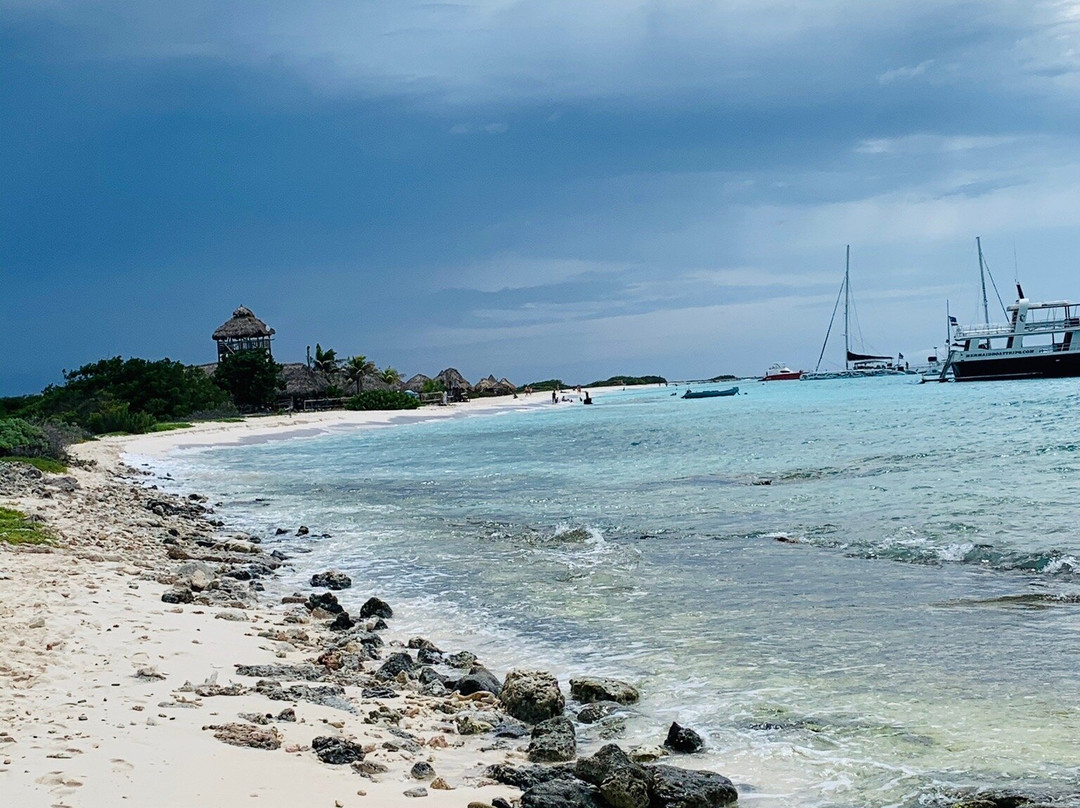 BlueFinn Charters-威廉斯塔德必去景点