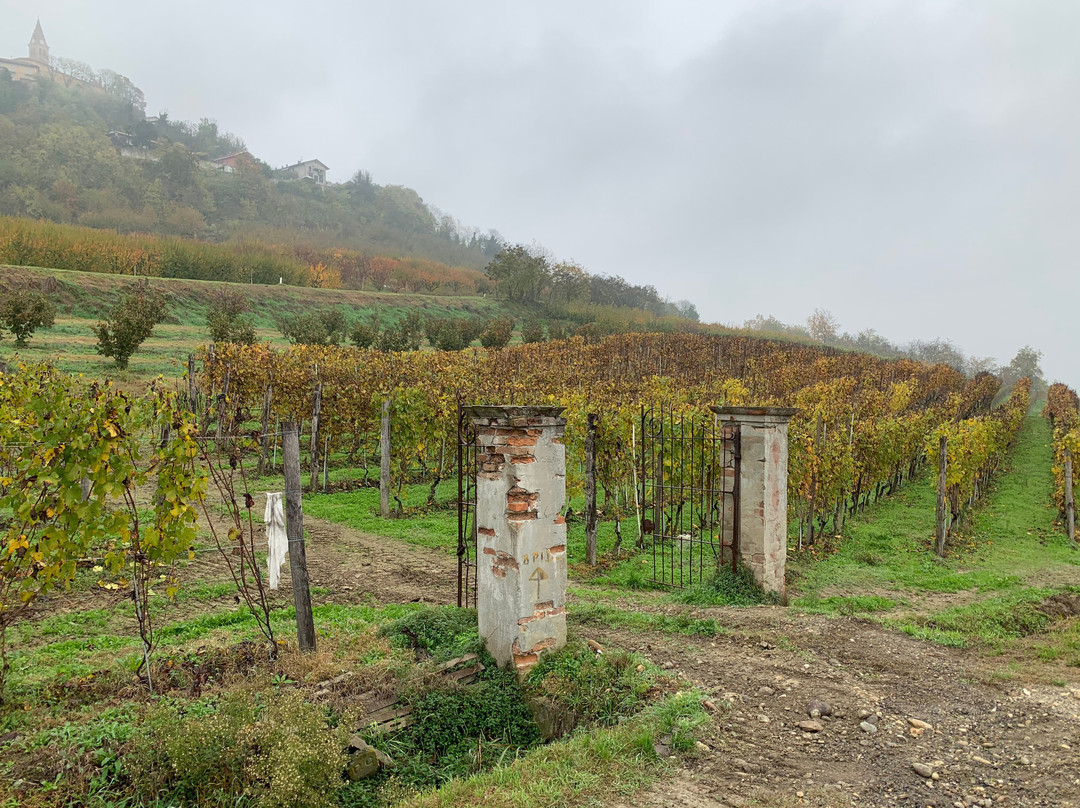 Strada Romantica delle Langhe e del Roero景点图片
