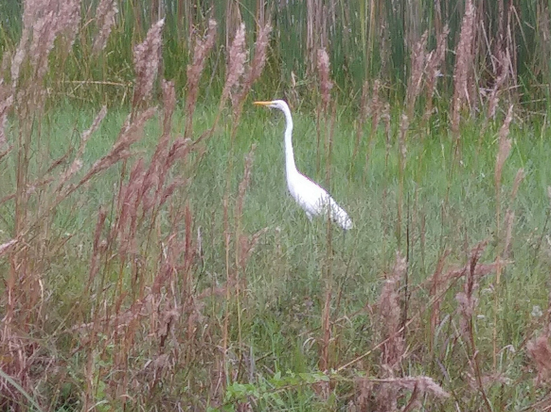 热带公园-迈阿密必去景点
