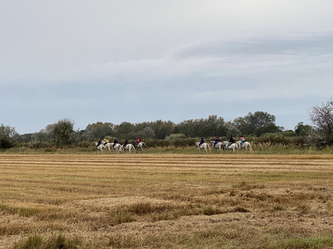 Mas Saint Germain-阿尔勒必去景点