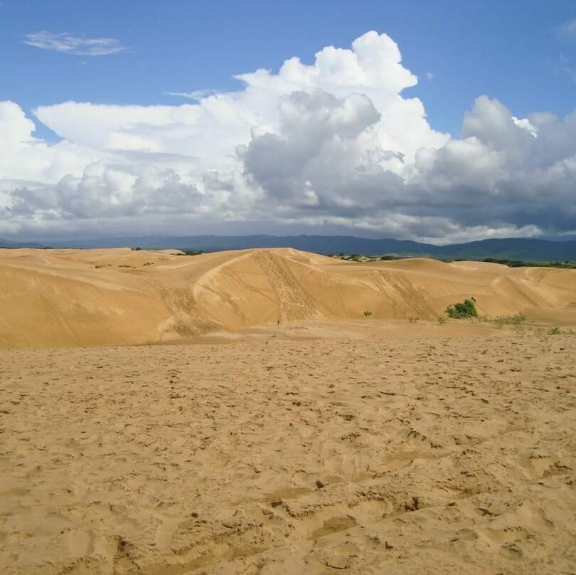 Los Medanos de Coro景点图片
