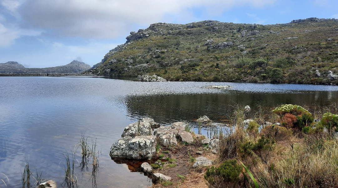 Cecilia Forest-康士坦提亚必去景点