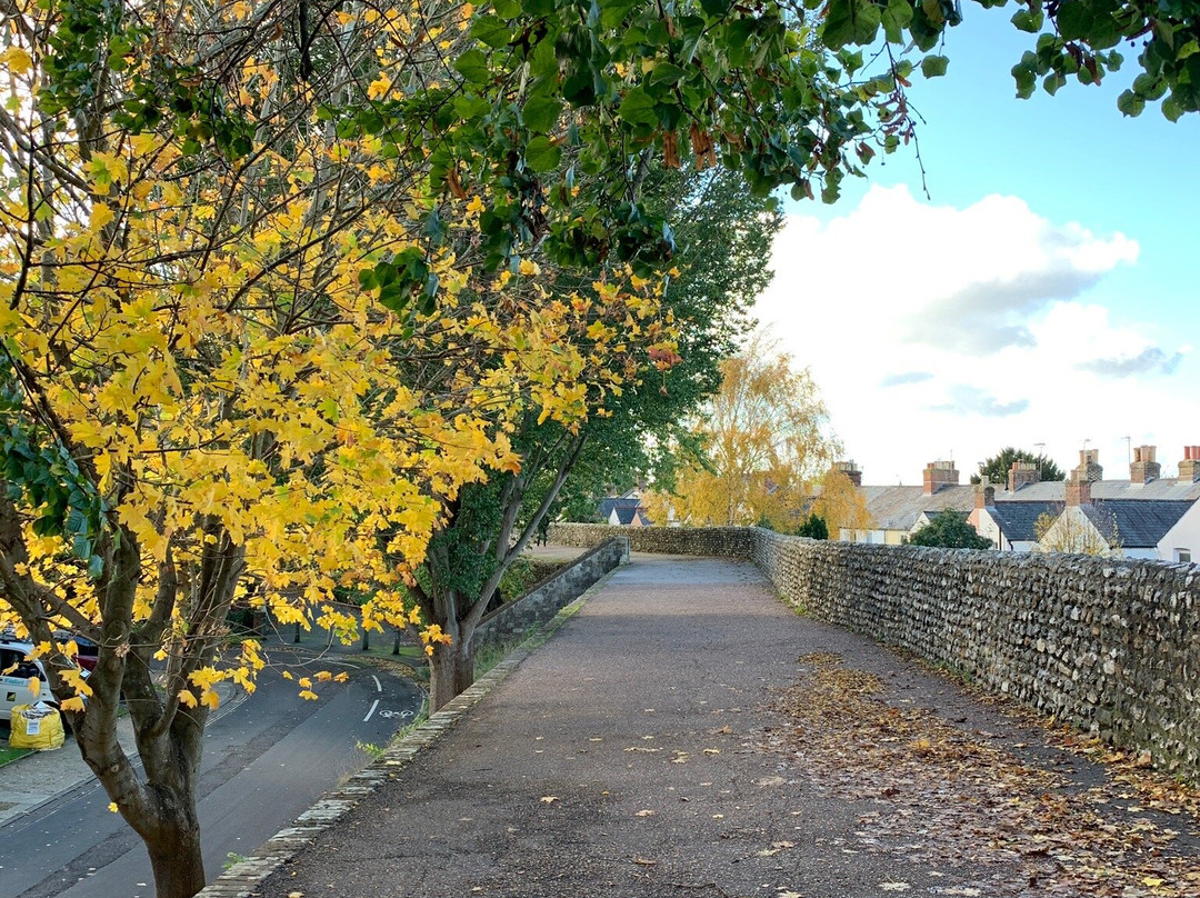 Chichester City Walls景点图片