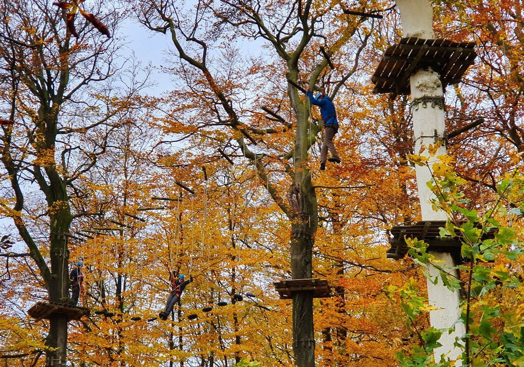 Kletterpark Detmold景点图片
