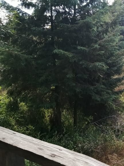 Minatitlan旅游攻略图片