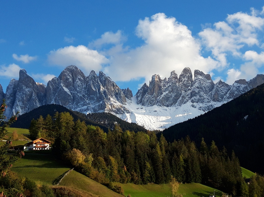 蒂罗尔酒店 主图