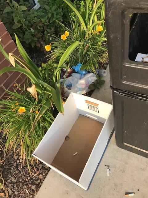 Comfort Suites Woodland - Sacramento Airport主图