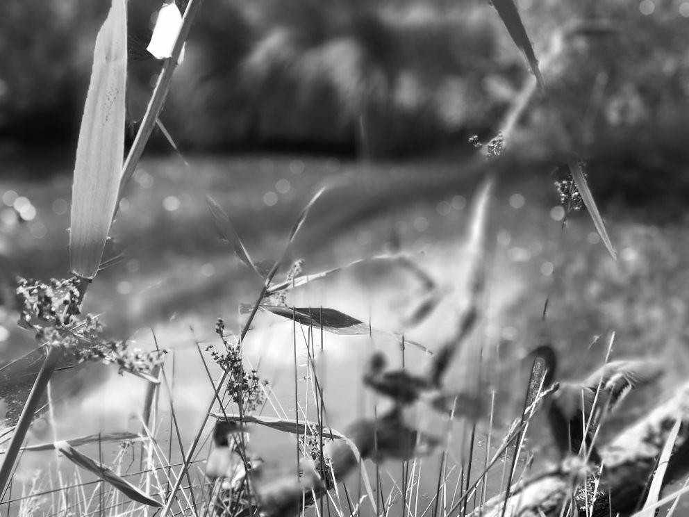 Domaine de Certes et Graveyron-Audenge必去景点