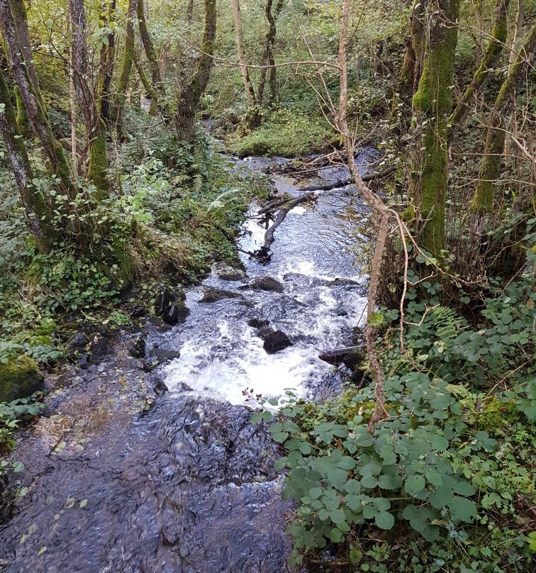 Cascade du Trador景点图片