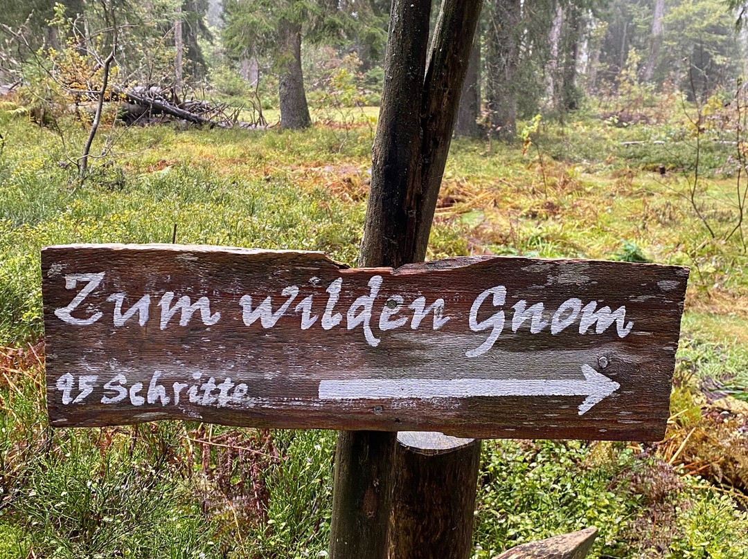 The Little Folk's Trail-菲尔德山必去景点