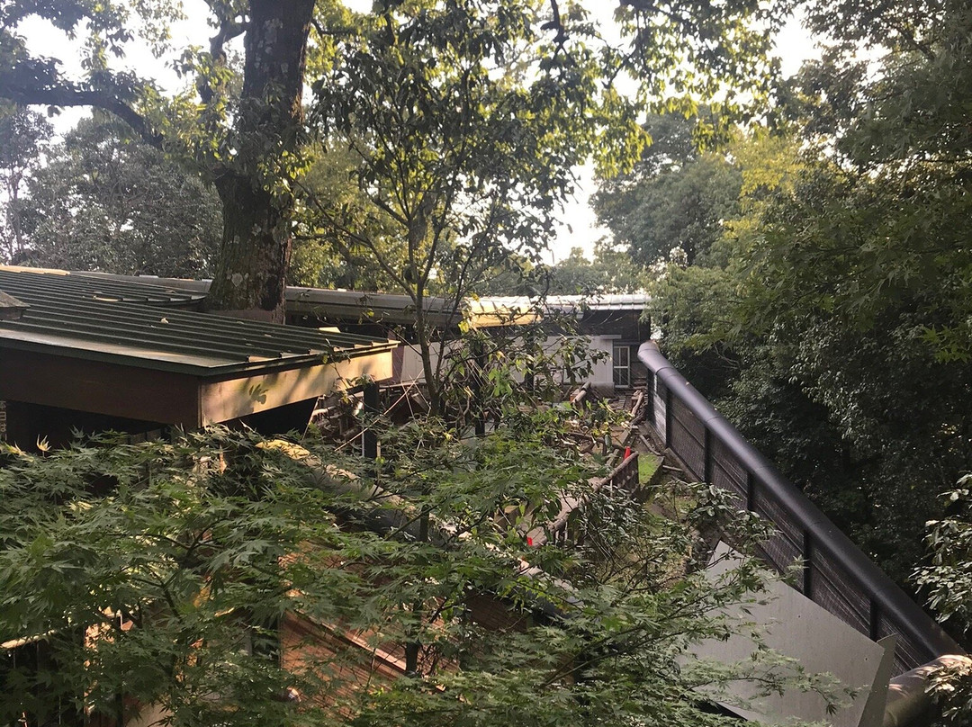 Mt. Kinka-岐阜市必去景点