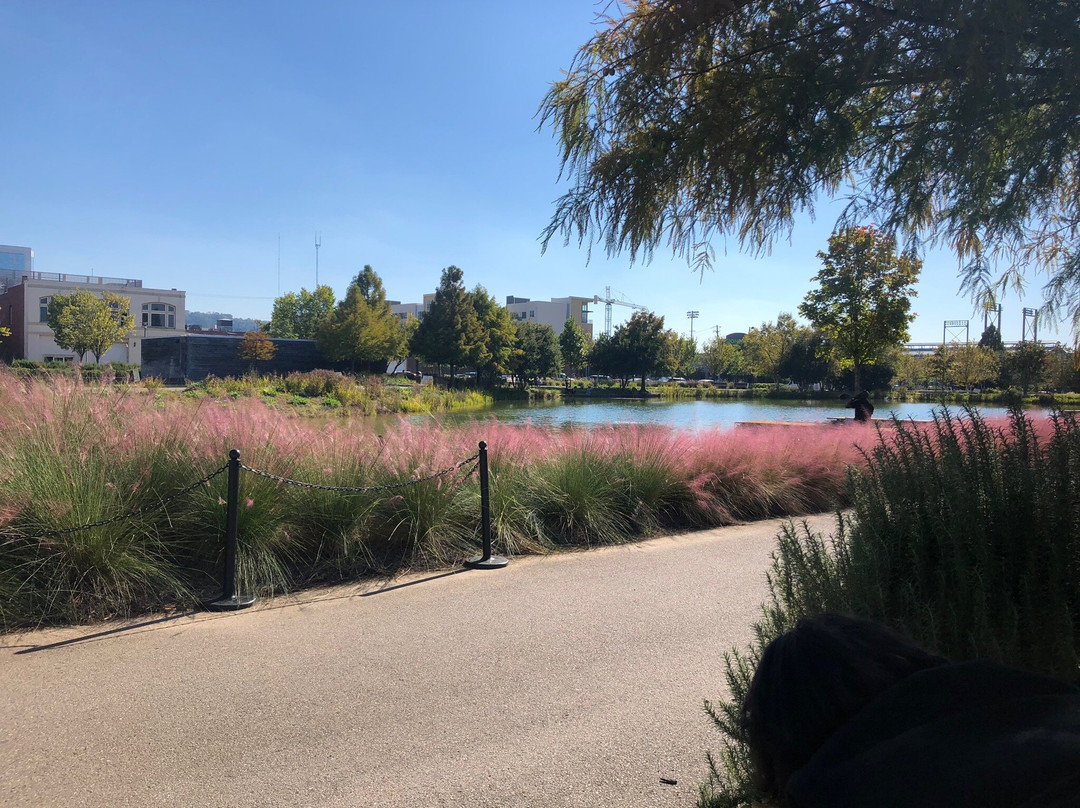 Birmingham's Railroad Park-伯明翰必去景点