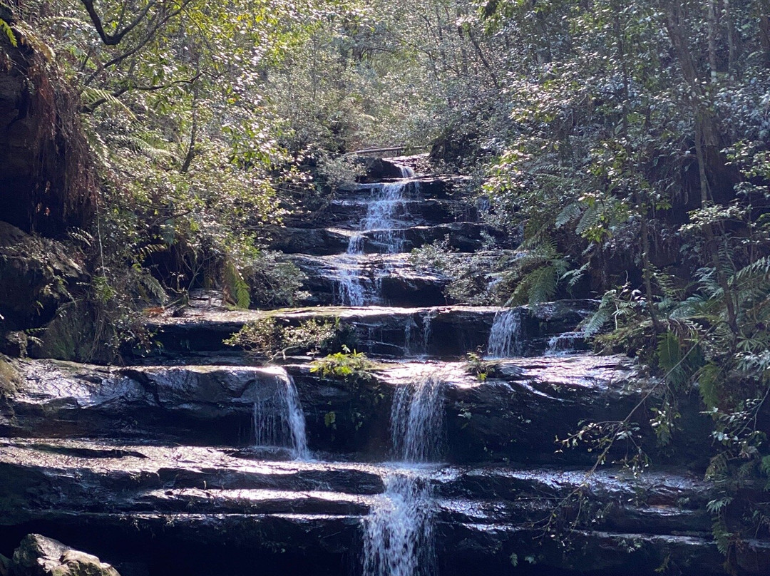 Terrace Falls Waterfall Walk景点图片