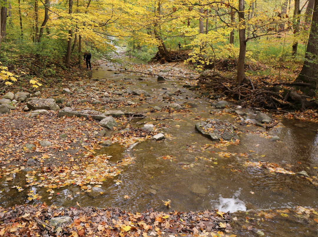 Rock Glen Conservation Area景点图片