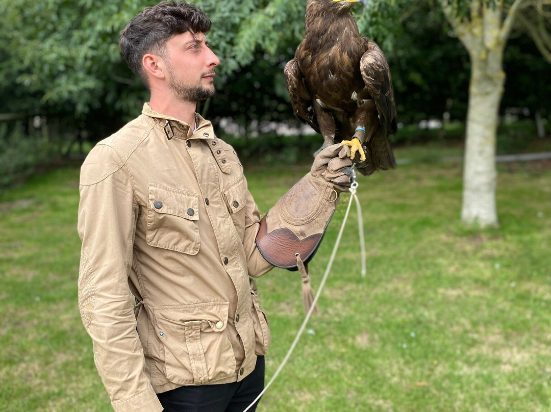 Simon Tebbutt Falconry-奥克姆必去景点