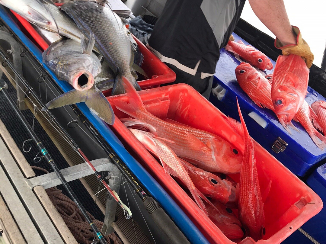 Black Jack Charters-埃斯佩兰斯必去景点